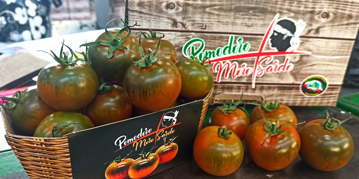 Agromediterranea lancia la nuova campagna del Moro Sardo